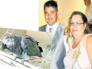 ABD'Yİ KARIŞTIRAN DAVA; PAPAĞAN CİNAYET TANIĞI