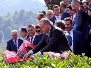 YARGIYA BİR BÜYÜK OPERASYON DAHA