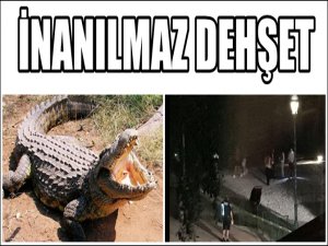 ABD'DE TİMSAH HERKESİN GÖZÜ ÖNÜNDE 2 YAŞINDA ÇOCUĞU KAPTI