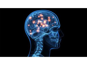 HAFIZANIN SINIRI VAR MI?