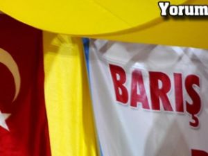 BDP'den Diyarbakır'da Türk bayraklı kongre