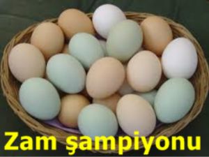 Şampiyonluk yumurtanın