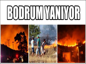 BODRUM ALEVLER İÇERİSİNDE