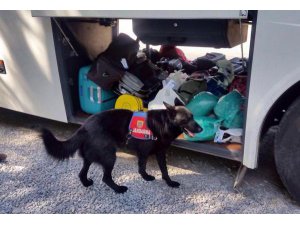 YOLCU OTOBÜSÜYLE UYUŞTURUCU SEVKİYATINA İKİ GÖZALTI