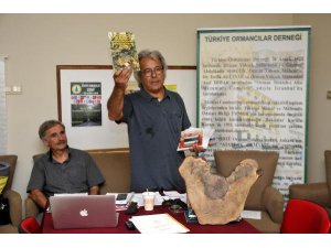 'KUMLUCA VE ADRASAN'DA BELİRTİLENİN 3 KATI ALAN YANDI' İDDİASI