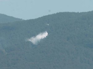 KAZDAĞLARI'NDA 1 HEKTAR ORMAN ALANI YANDI