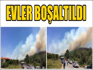 ÇEŞME'DE YANGIN; YAZLIKLAR TEHLİKEDE