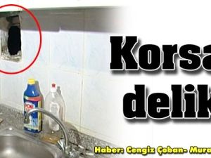 500 bin liralık korsan cd operasyonu