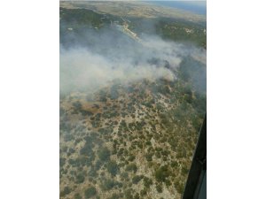 ÇANAKKALE- BALIKESİR SINIRINDA ORMAN YANGINI