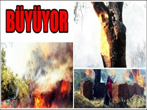 BODRUM YİNE YANIYOR