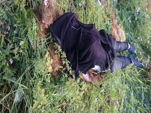 AYILAR OT TOPLAYAN İNSANLARA SALDIRDI; 2 ÖLÜ 2 YARALI