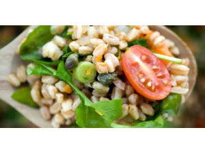 VEGAN ÇİFTTEN BEBEKLERİİN VELAYETİ ALINDI