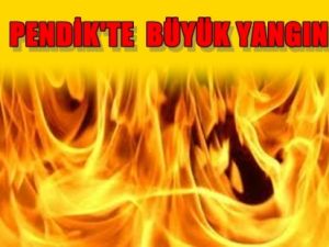 Pendik'te büyük yangın