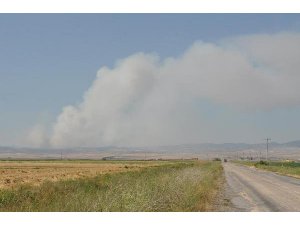 ESKİŞEHİR'DE ORMAN YANGINI