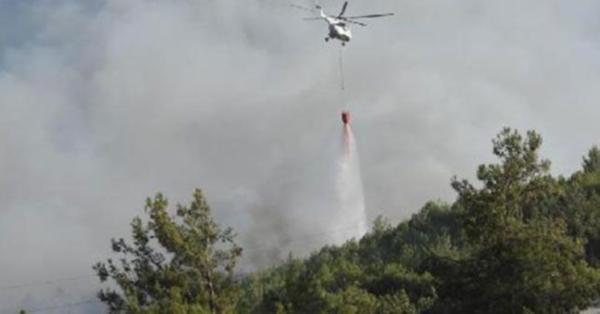 İZMİR'DE ORMAN YANGINI...