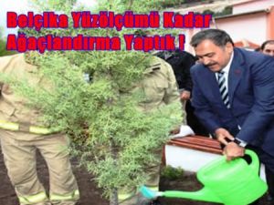 Muşmula dikerek ormanlar kurtulur mu?