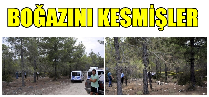 ANTALYA'DA ORMANDA VAHŞET