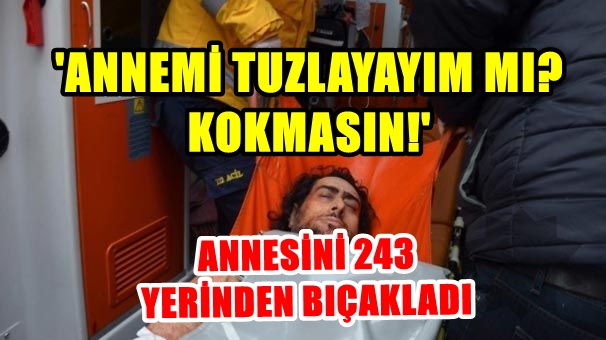 ŞİZOFRENİ HASTASI ANNESİNİ 243 YERİNDEN BIÇAKLADI
