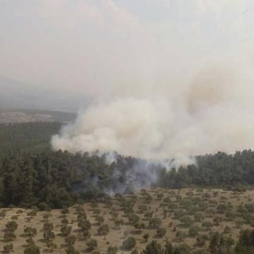 MANİSA'DA BÜYÜK ORMAN YANGINI