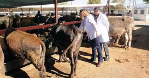 KURBAN ALACAKLAR DİKKAT