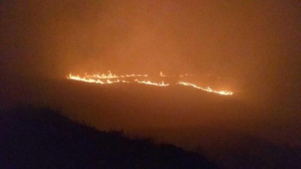 AVŞA ADASINDA YANGIN