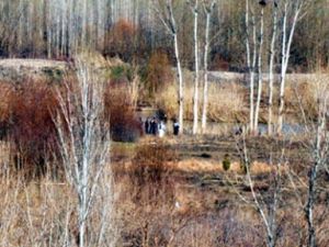 Diyarbakır'da patlama!