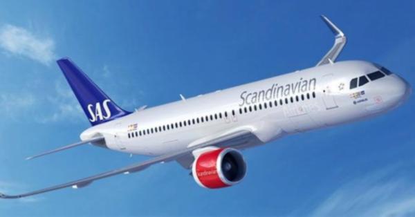 YOLCU UÇAĞINDA YILAN PANİĞİ