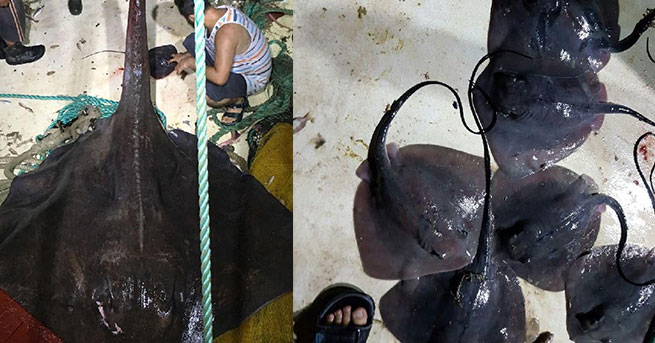 BİLİMSEL ARAŞTIRMA YAPARKEN TARİHİ ANLAR YAŞADILAR