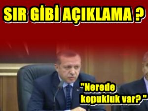 Erdoğan Reyhanlı Olaylarını neden teftiş Kuruluna Yolladı ?