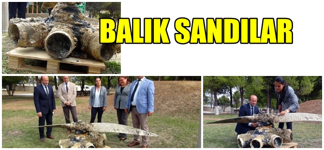 BALIKÇILARIN AĞINDAN ÇIKAN ŞAŞIRTTI
