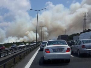 İstanbul yanıyor: Kundaklama şüphesi var