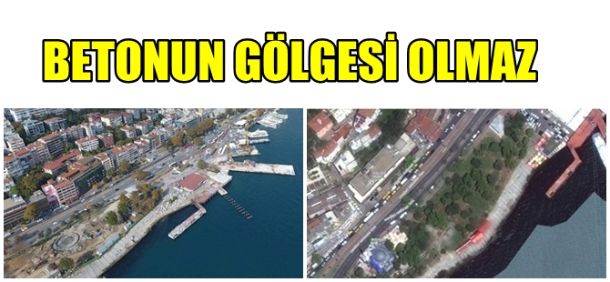 İSTANBUL'DA ASIRLIK AĞAÇ KATLİAMI BÖYLE GÖRÜNTÜLENDİ