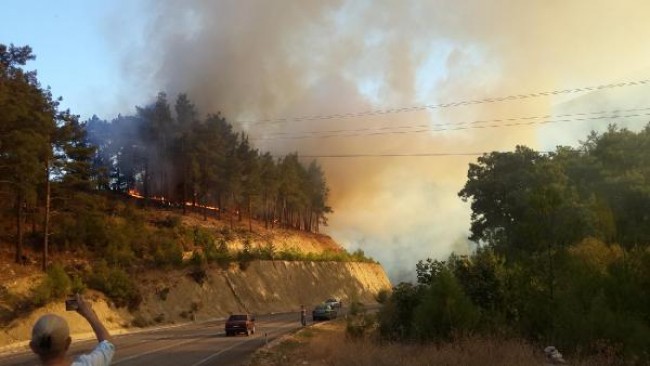 ANTALYA'DA ORMAN YANGINI