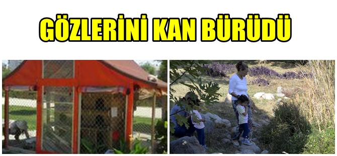 ANTALYA DÜDENPARK'TA VAHŞET
