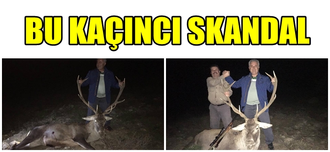ANTALYALI GÜREŞ AĞASININ KAÇAK GEYİK AVI SKANDALI