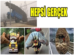 MÜHENDİSLİK HARİKASI TAŞIMACILIK