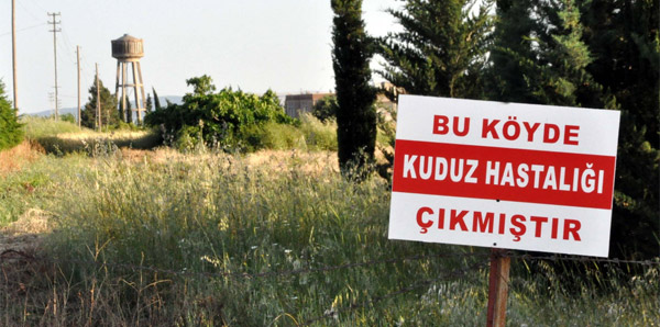 ESKİŞEHİR'DE KORKUTAN OLAY ; KARANTİNA BAŞLADI