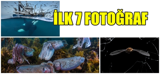 2016  FOTOĞRAF YARIŞMASINDA İLK 7