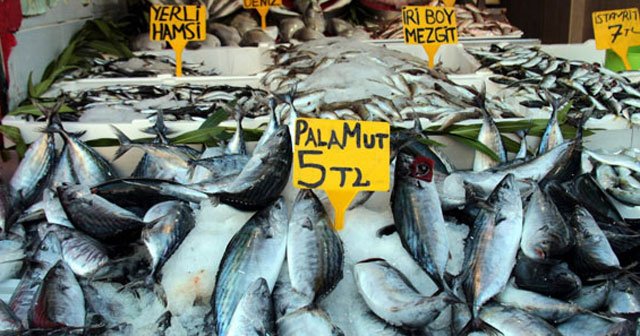 SAMSUN'DAN BALIK SEVENLERE MÜJDE