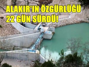 Alakır'ın özgürlüğü sadece 22 gün sürdü!