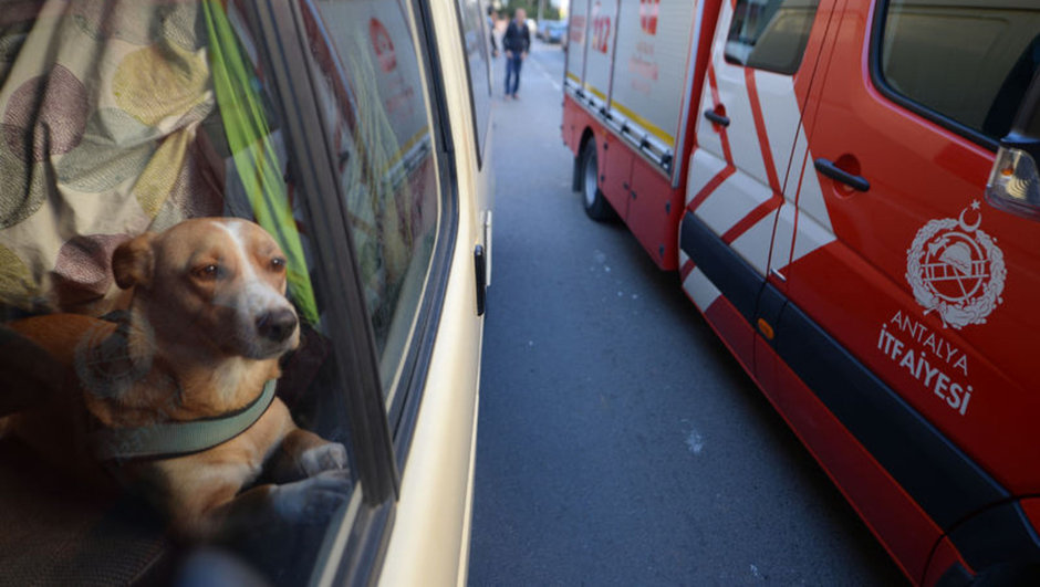 ANTALYA'DA 3 GÜNDÜR ARAÇ İÇİNDE UNUTULAN KÖPEK
