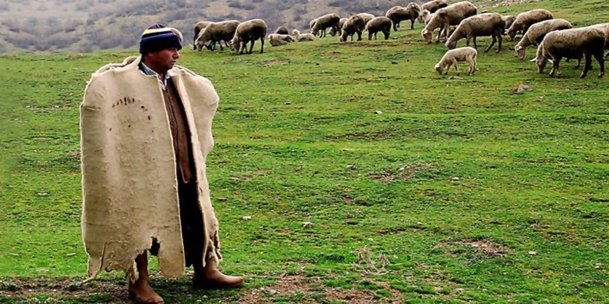 SAMANDAN SONRA SIRA ÇOBANDA