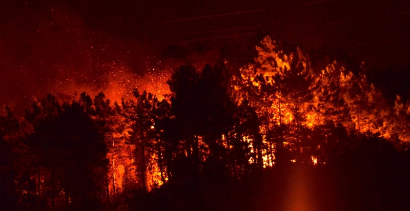 SÜRMENE YANGININDA KATAR EMİRİ ŞÜPHESİ TWITTER'İ SALLADI