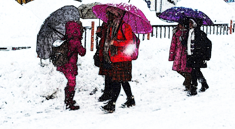 TÜRKİYE'DE BİR ÇOK İLDE KAR TATİLİ