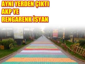 RENKLERLE İSYAN