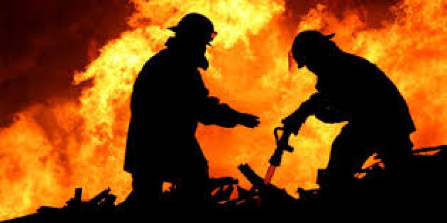 MERSİN GÖKSU DELTASI'NDA YANGIN