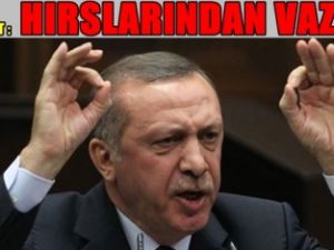 Sembolik Cumhurbaşkanı Ol