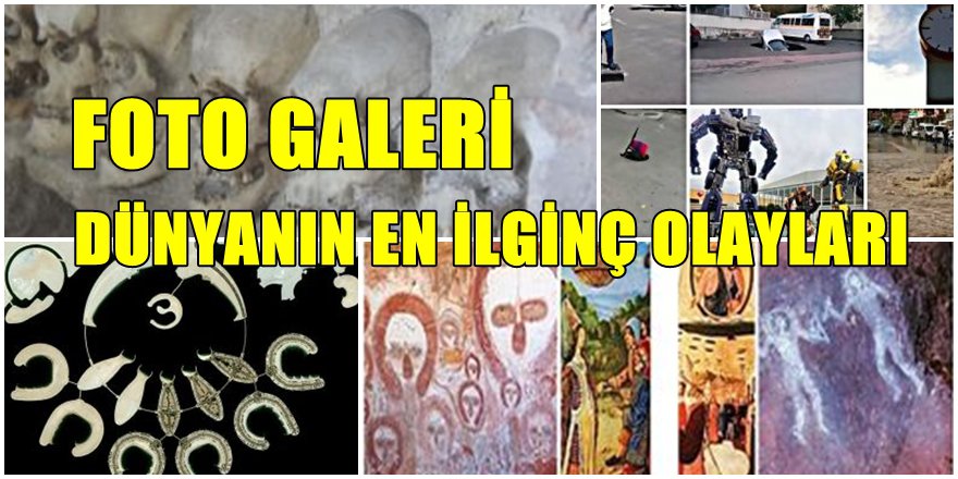 DÜNYANIN EN İLGİNÇ OLAYLARI