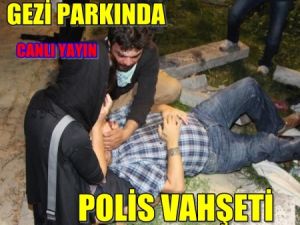 Polis Gezi parkını Yine bastı