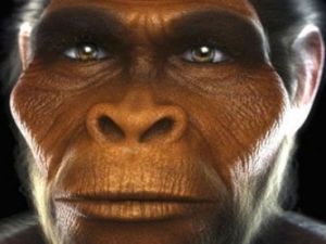 TÜBİTAK’tan skandal evrim kararı